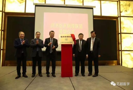 熱烈祝賀“同濟臨床病理聯(lián)盟”成立！